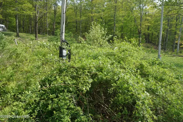 Rensselaerville, NY 12147,85 Thunder Hill Road