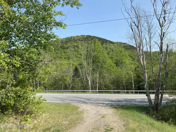 Johnsburg, NY 12843,1781 NY-8