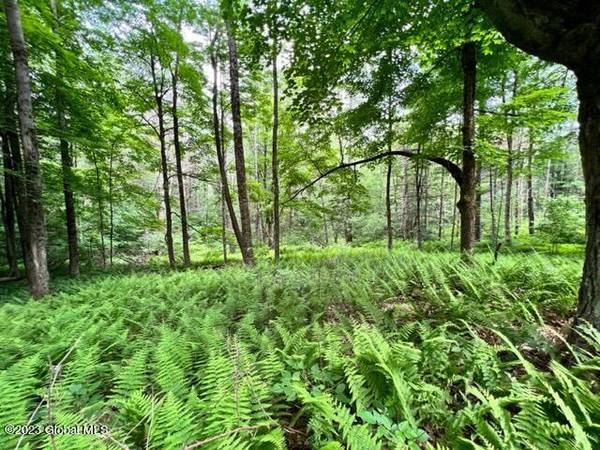 Lot 2 McGregor Road, Johnstown, NY 12078