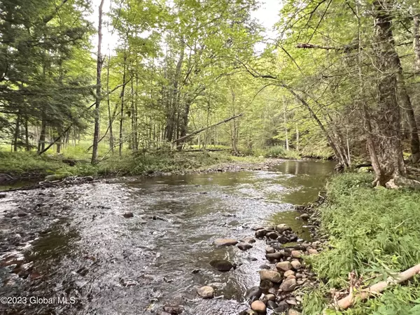 L14.100 Cheney Pond, Minerva, NY 12851