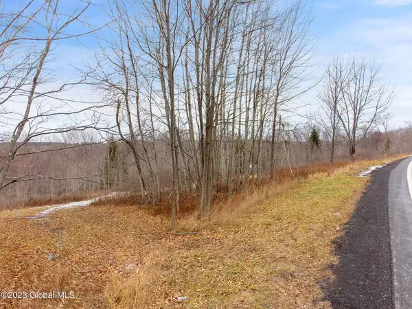 L1.2 State Route 10, Jefferson, NY 12093