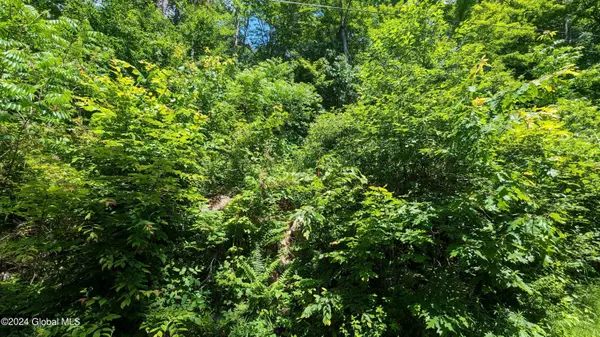 Ephratah, NY 13452,L2 East Road #Lot 2