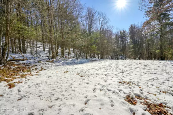 2110 W West Fulton Road, Richmondville, NY 12187