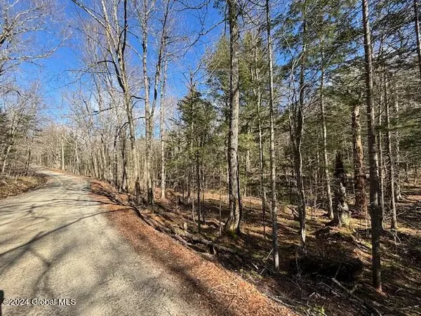 L10 Fourteenth Ridge, Minerva, NY 12851