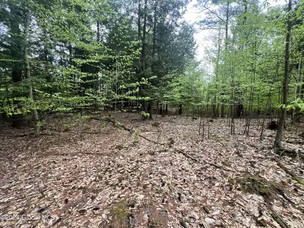 Corinth, NY 12859,183 Wells Road