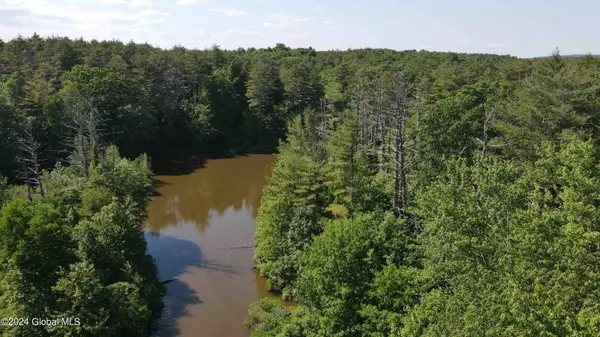 Coxsackie, NY 12051,L14 Eagle Nest Road