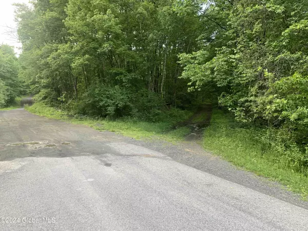 Coxsackie, NY 12051,L14 Eagle Nest Road