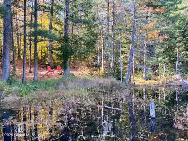 Johnsburg, NY 12853,35 Mountain Path