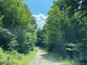 Corinth, NY 12822,L83 Fox Hill Road Rear