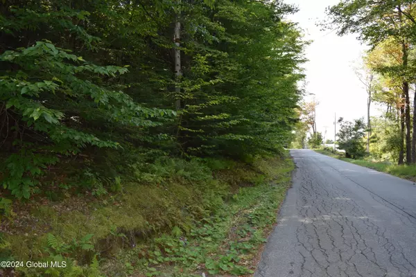 Hadley, NY 12835,L3.5 Parker Road
