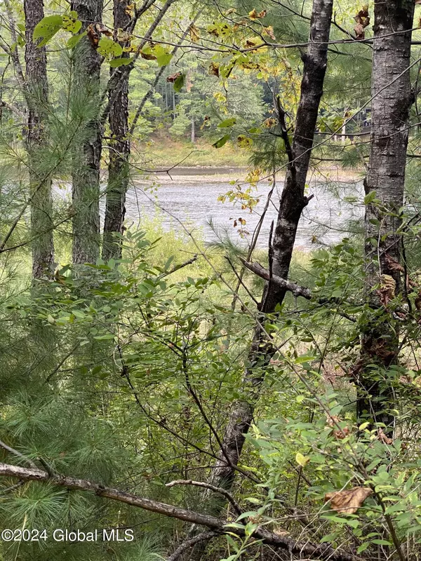 Thurman, NY 12885,L4 River Road