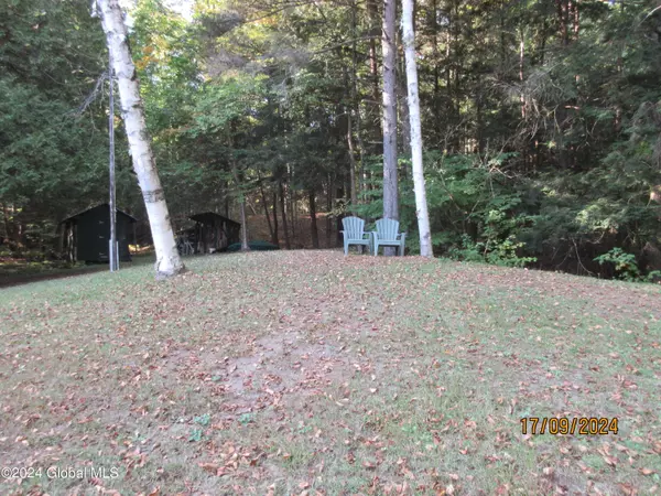 Minerva, NY 12857,115 John Brannon Road
