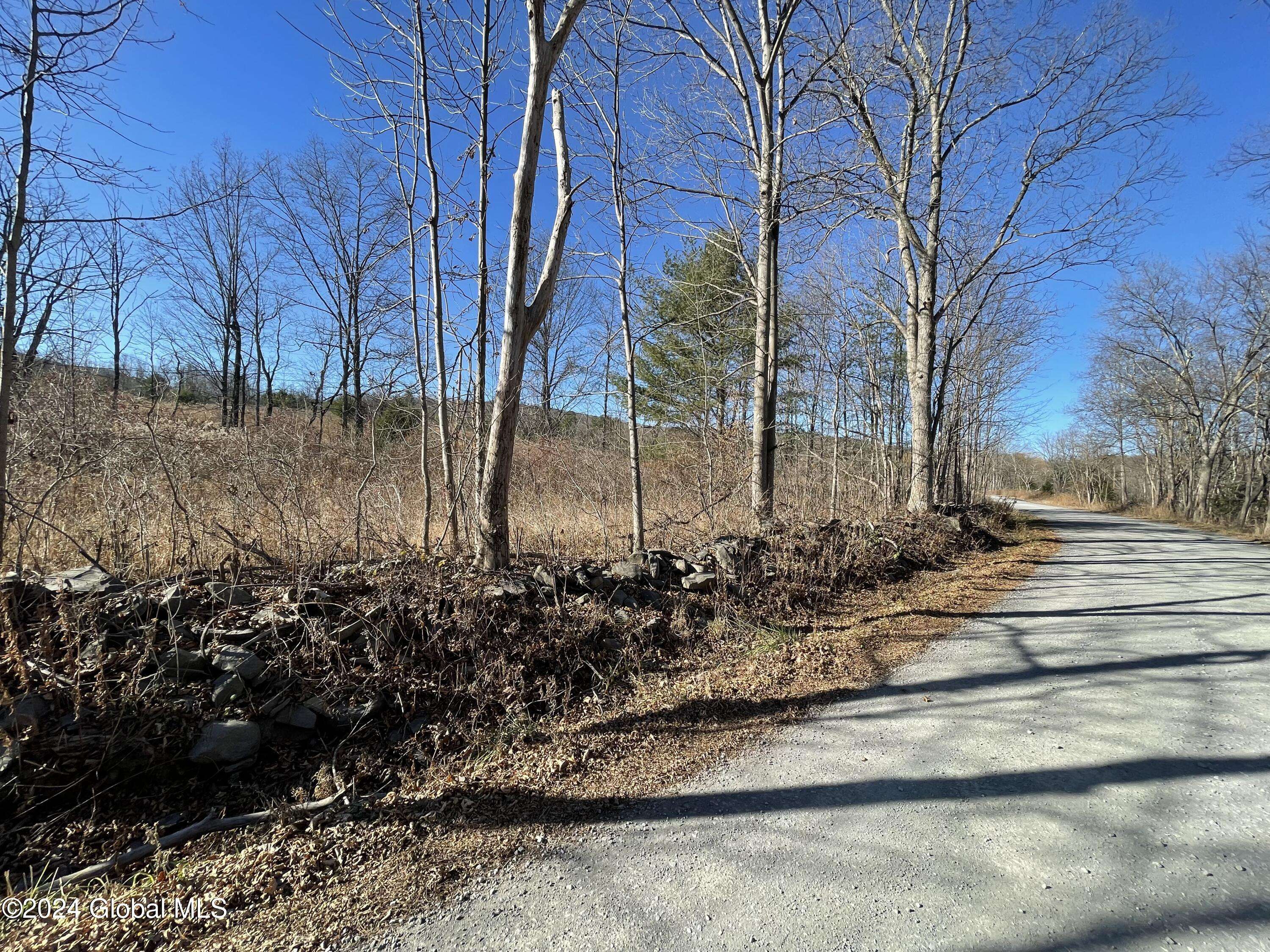 L18.3 Pucker Street, Rensselaerville, NY 12469