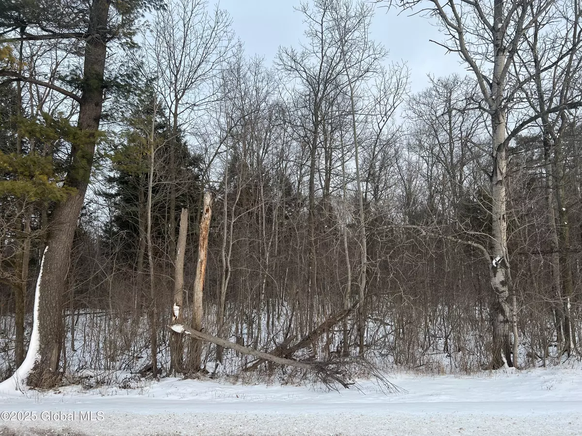 Palatine Bridge, NY 13428,L24.12 Oswegatchie Road