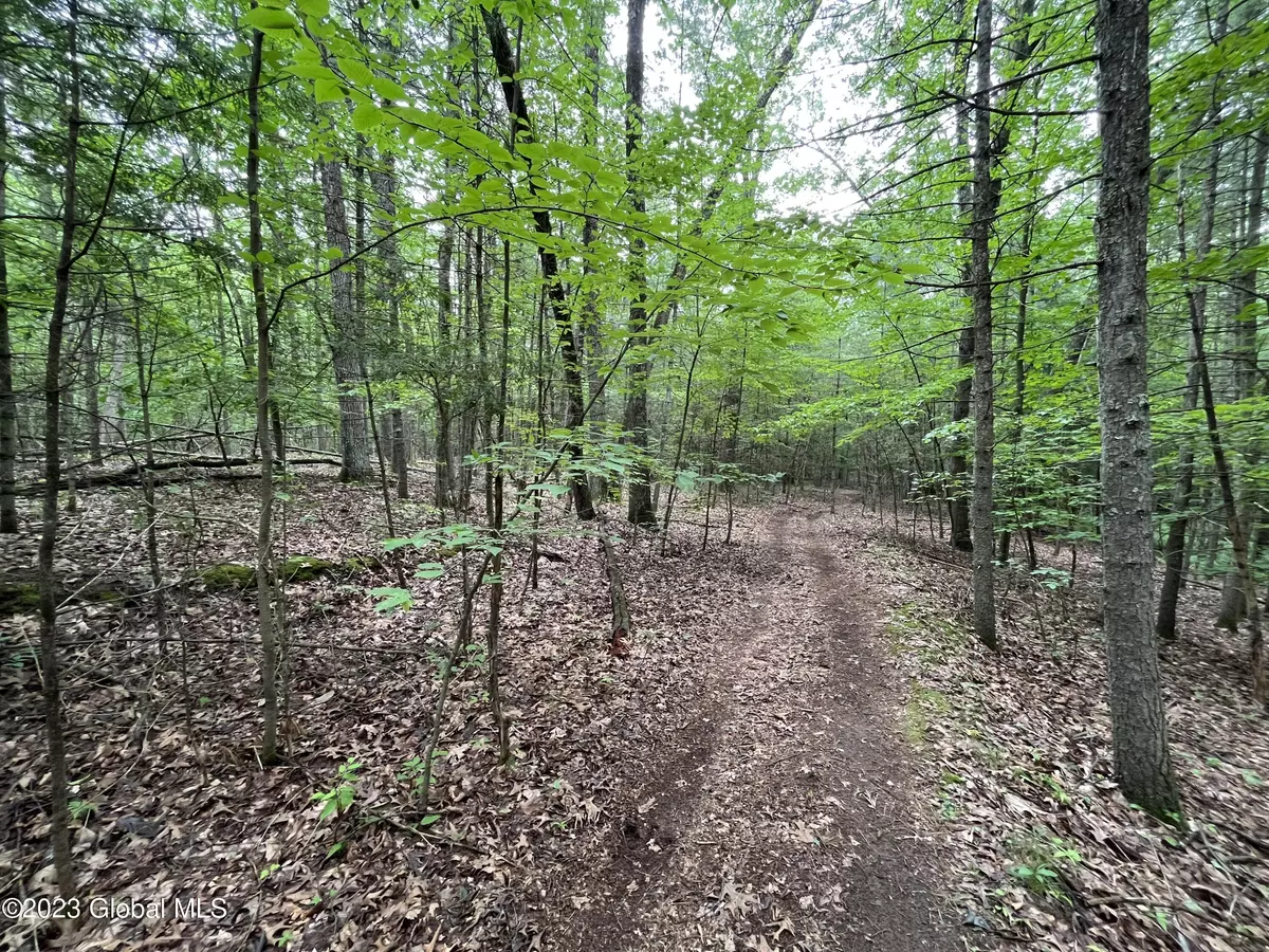 Northumberland, NY 12866,L19.22 Homestead Road