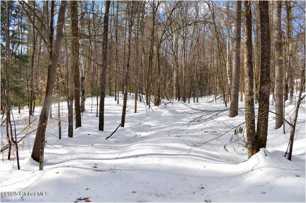 L93 Highview Lane #Lot 9, Johnsburg, NY 12886