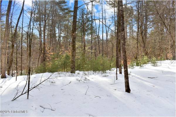 L94 Highview Lane #Lot 10, Johnsburg, NY 12886