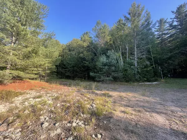 Stony Creek, NY 12878,804 Harrisburg Rd