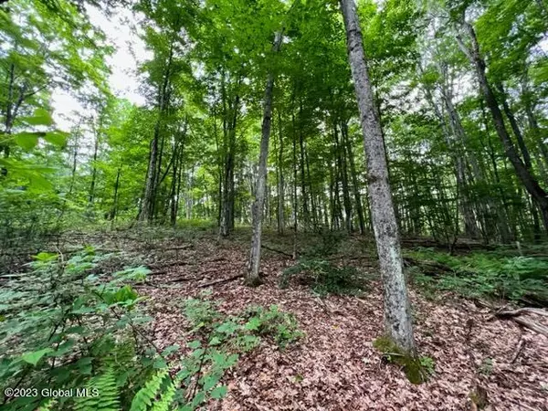 Lot 1 McGregor Road, Johnstown, NY 12078