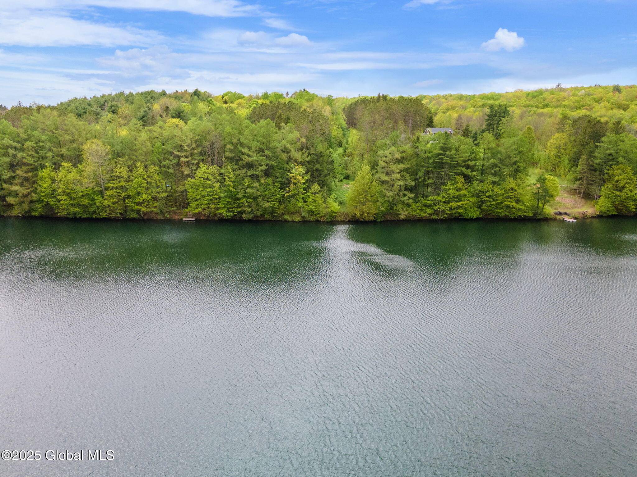 Summit, NY 12175,132 Lakeway Lane ##M