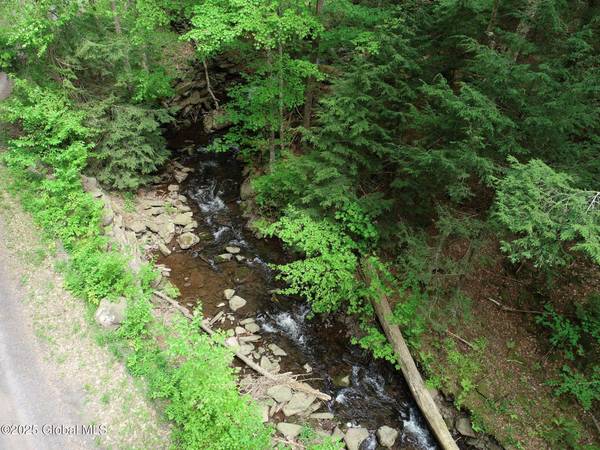 L37 Deer Valley Road, Jewett, NY 12444