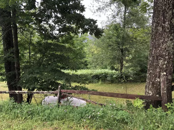 Caroga, NY 12032,1669 NY-10