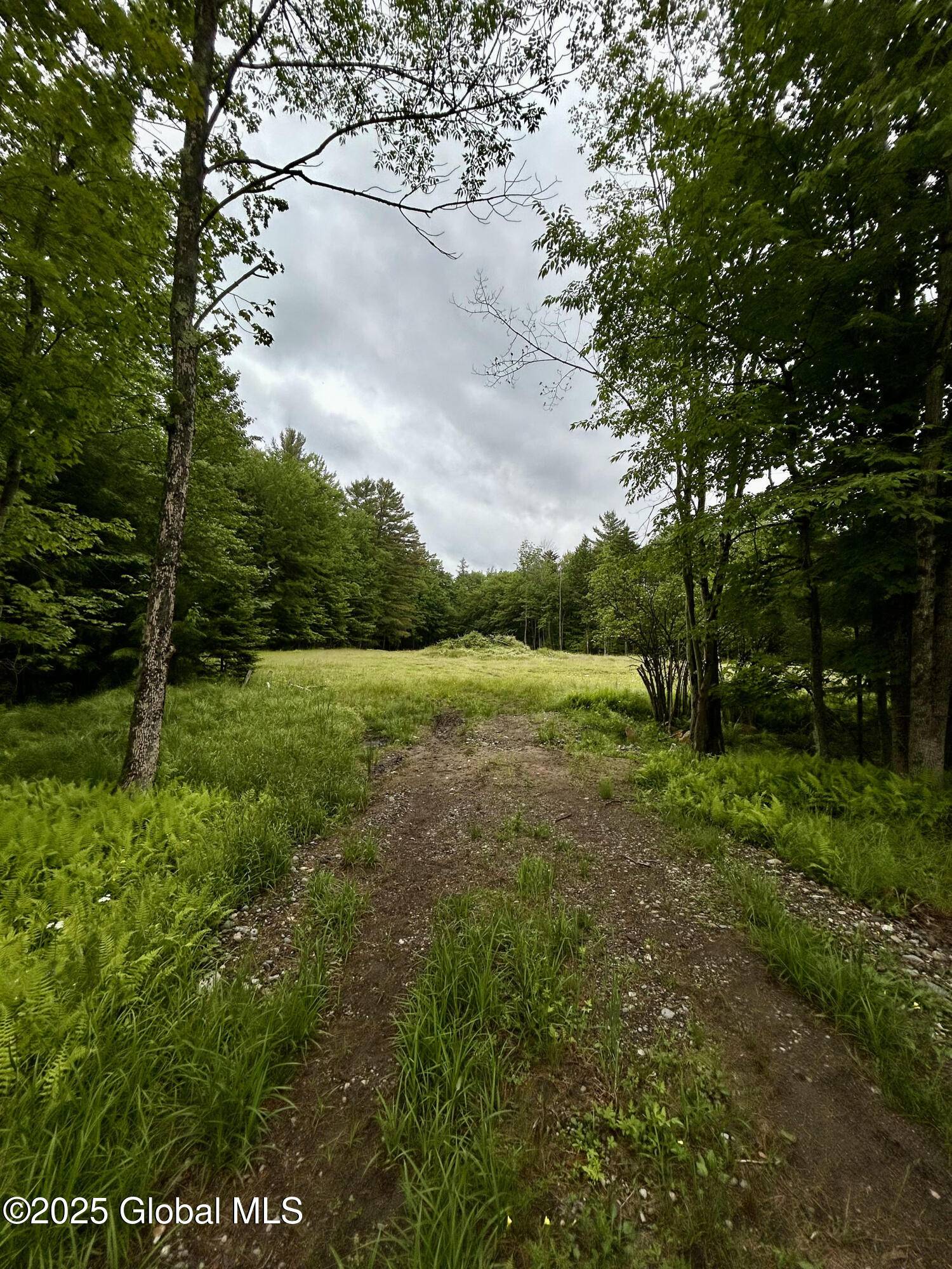 L1 Persch Road, Bleecker, NY 12078