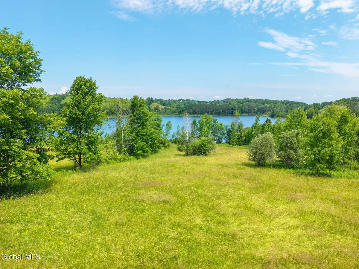 Sharon Springs, NY 13459,650 Mill Pond Road