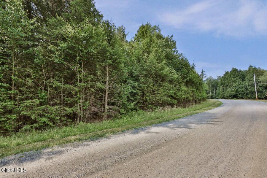 87 Pond View Road, Grafton, NY 12138