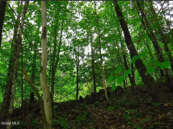 L2.6 Goodman Road, Fort Ann, NY 12827