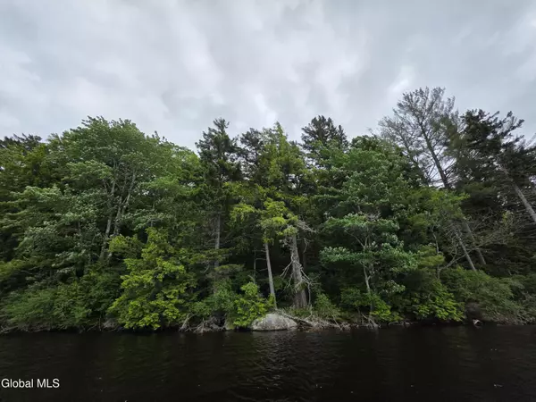 L6 Dolgeville Point, Caroga, NY 12032