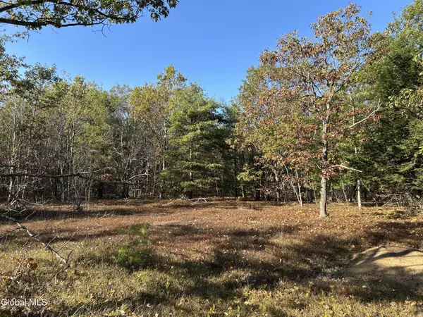 L31 Gulf Hill Road, Berne, NY 12059