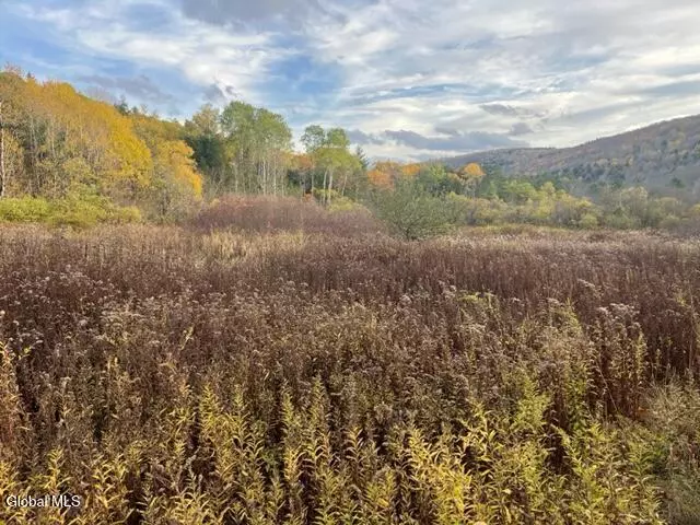 Fulton, NY 12149,L8 Sawyer Hollow Road