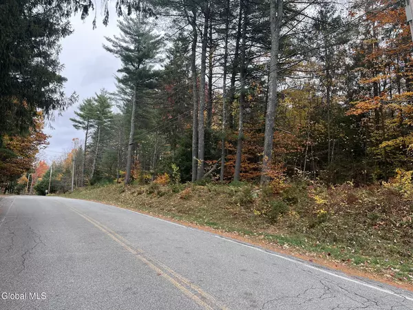 L2 Truesdale Hill Road, Lake George, NY 12845