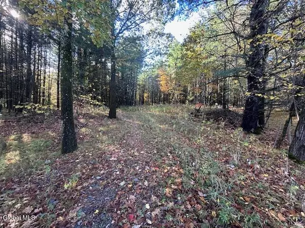 87 Le Loup Road, Pittstown, NY 12121