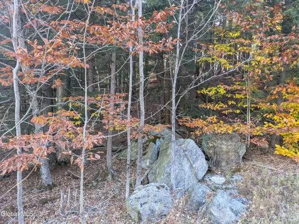 Greenfield, NY 12850,443 Lake Desolation Road