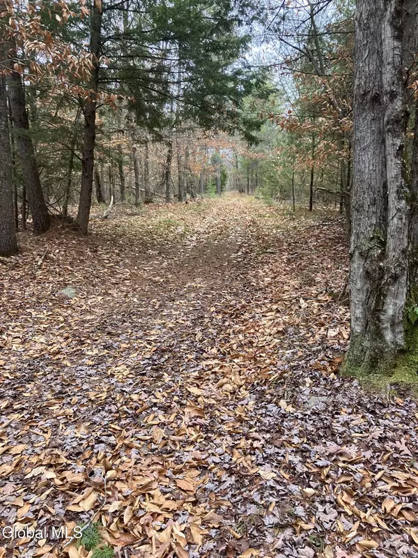 0 Scofield Road, Lake Luzerne, NY 12846