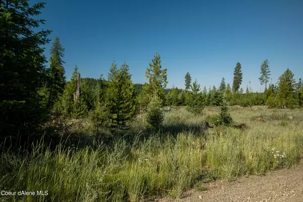 Lot 18 Block 2 Sportsman Rd, St. Maries, ID 83861