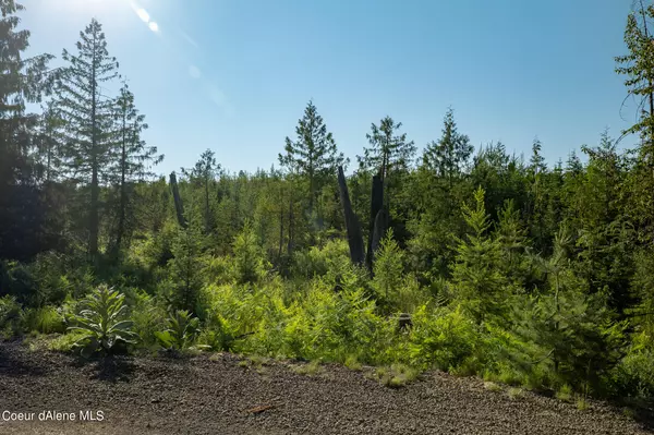 Lot 15 Block 2 Sportsman Rd, St. Maries, ID 83861