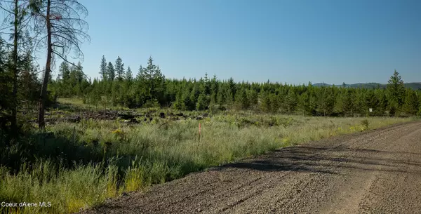 Lot 14 Block 2 Sportsman Rd, St. Maries, ID 83861