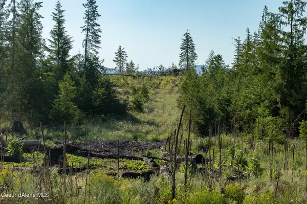 St. Maries, ID 83861,Lot 14 Block 2 Sportsman Rd