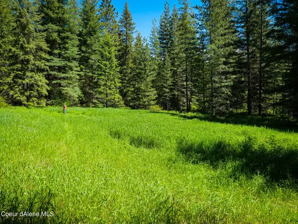 NKA Eureka Road, Sagle, ID 83860