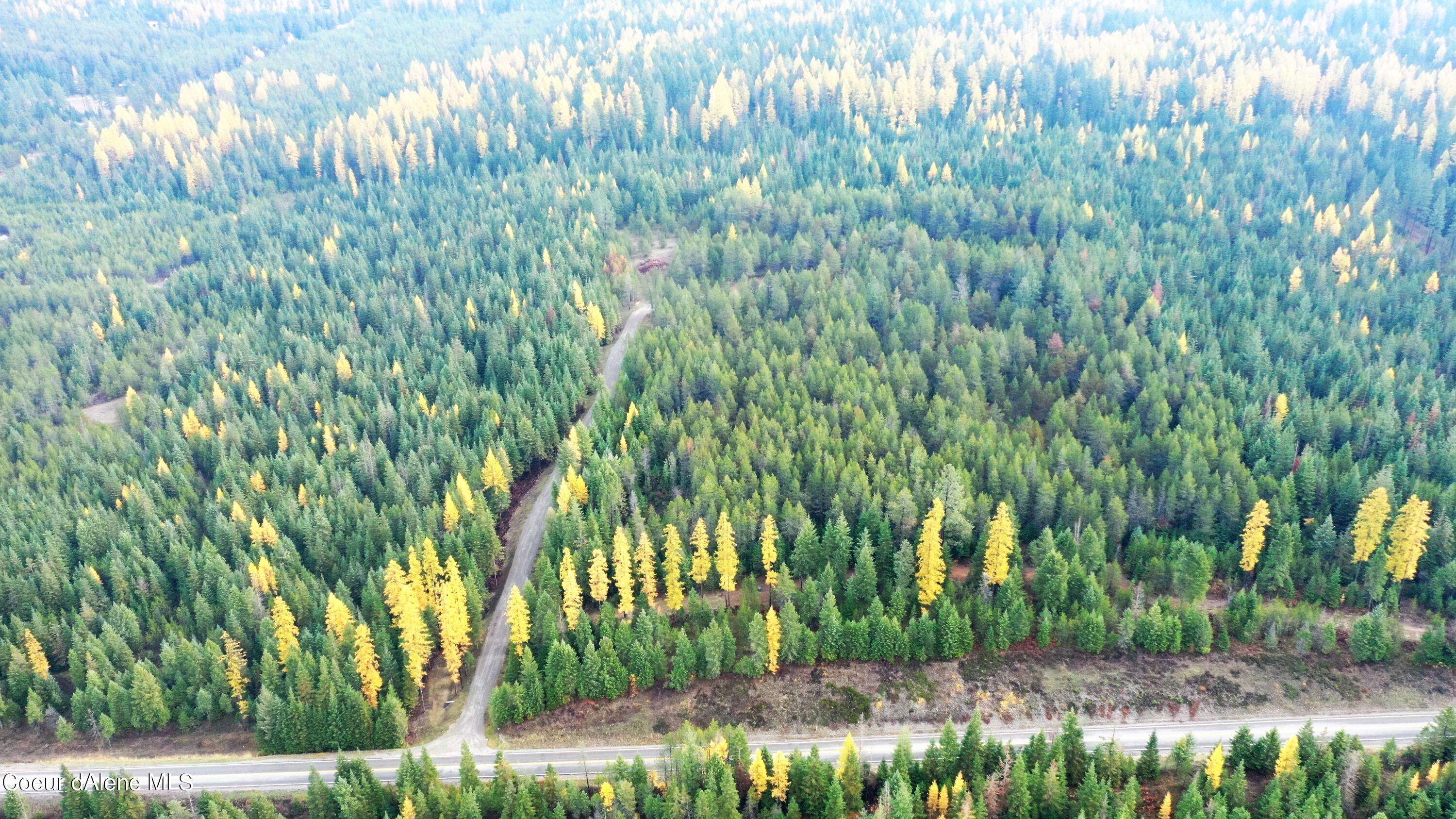 Athol, ID 83801,16292 E Perimeter Rd Lot 1