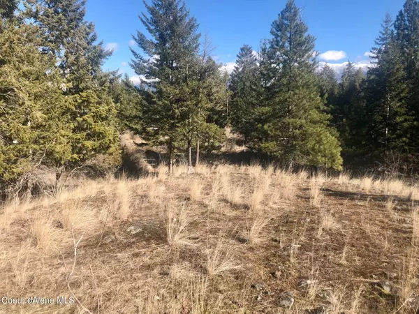 Moyie Springs, ID 83845,nka E. Mountain View Rd.