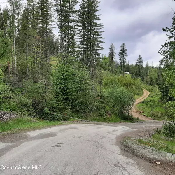 Polaris Peak Road, Kellogg, ID 83837