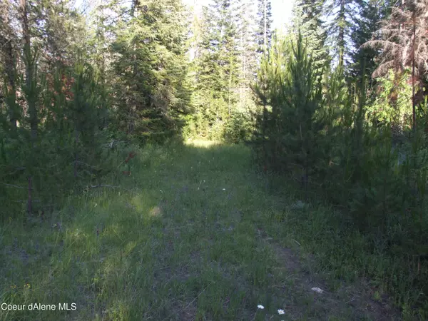 Rathdrum, ID 83858,N Nikkoma Rd