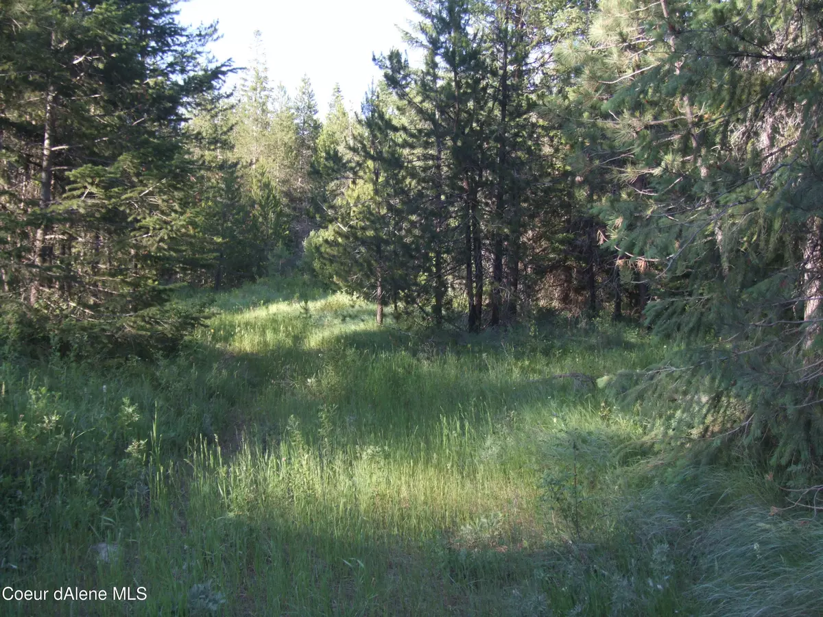 Rathdrum, ID 83858,N Nikkoma Rd