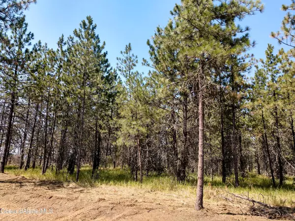 Athol, ID 83801,L4B1 N Sheep Springs Rd