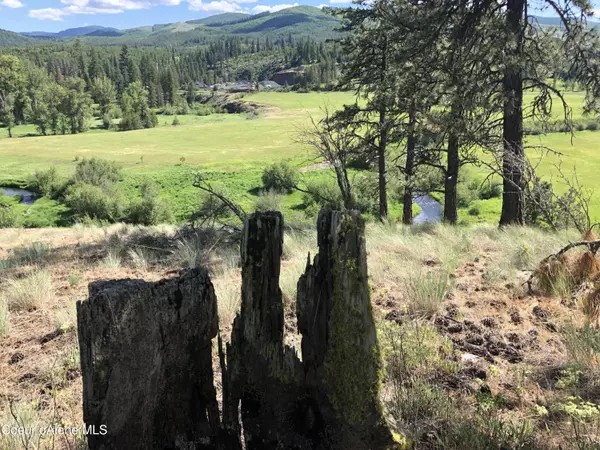 Lot E Ponderosa Meadows, St. Maries, ID 83861