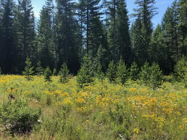 Rathdrum, ID 83858,NKA Lot F Rosemere LN